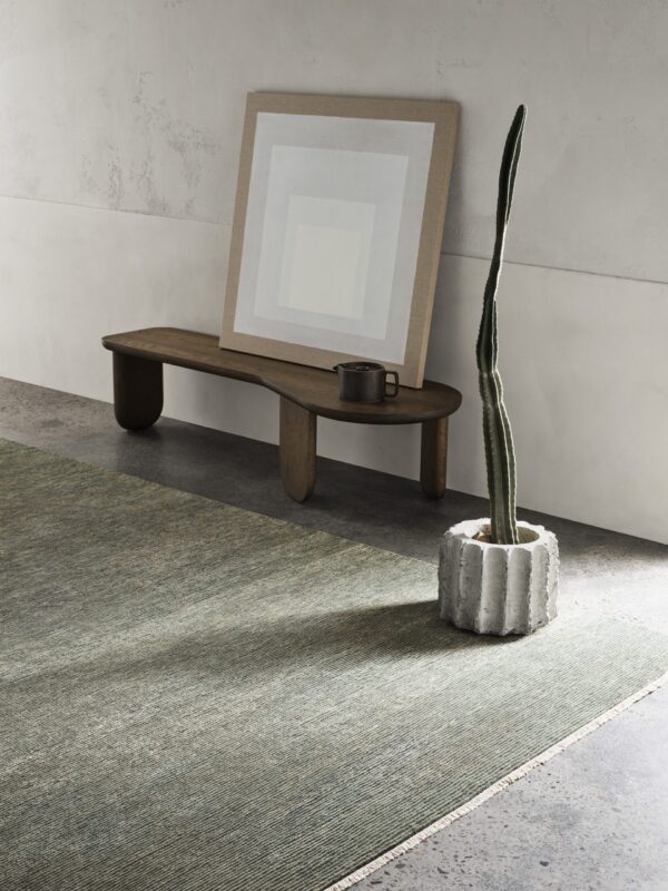 Corsica Agave | Sample