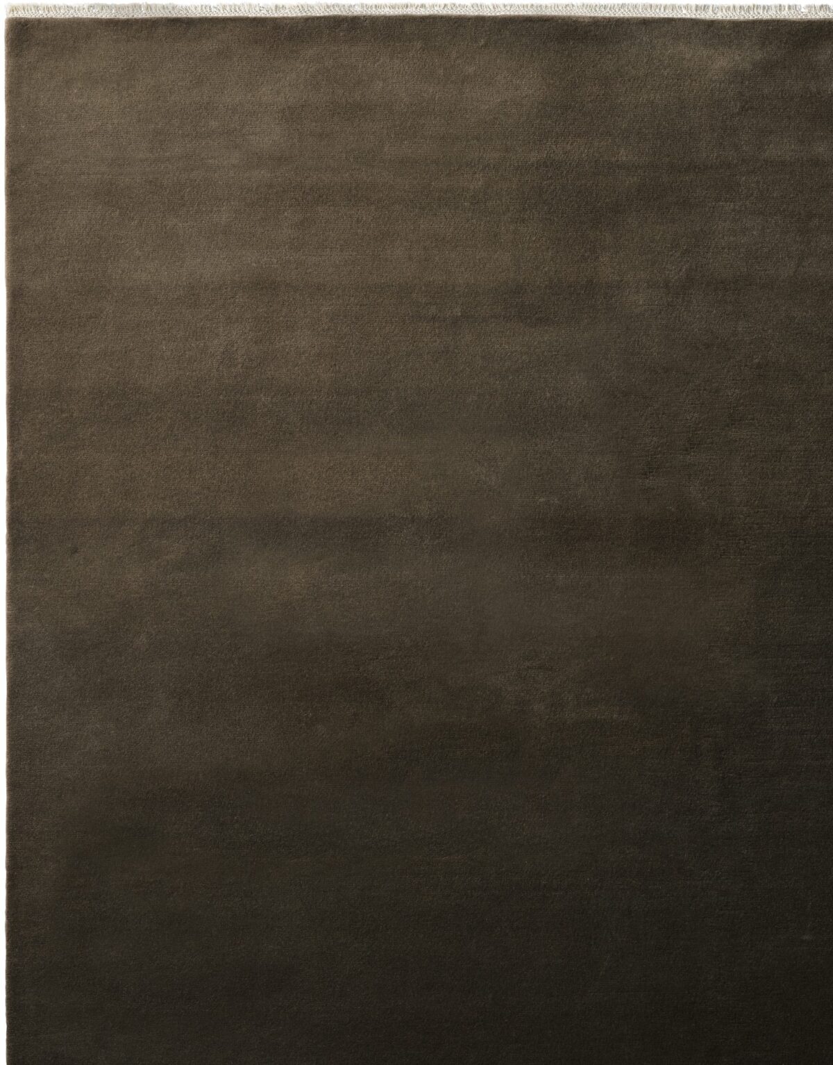 Eden Chestnut | Sample