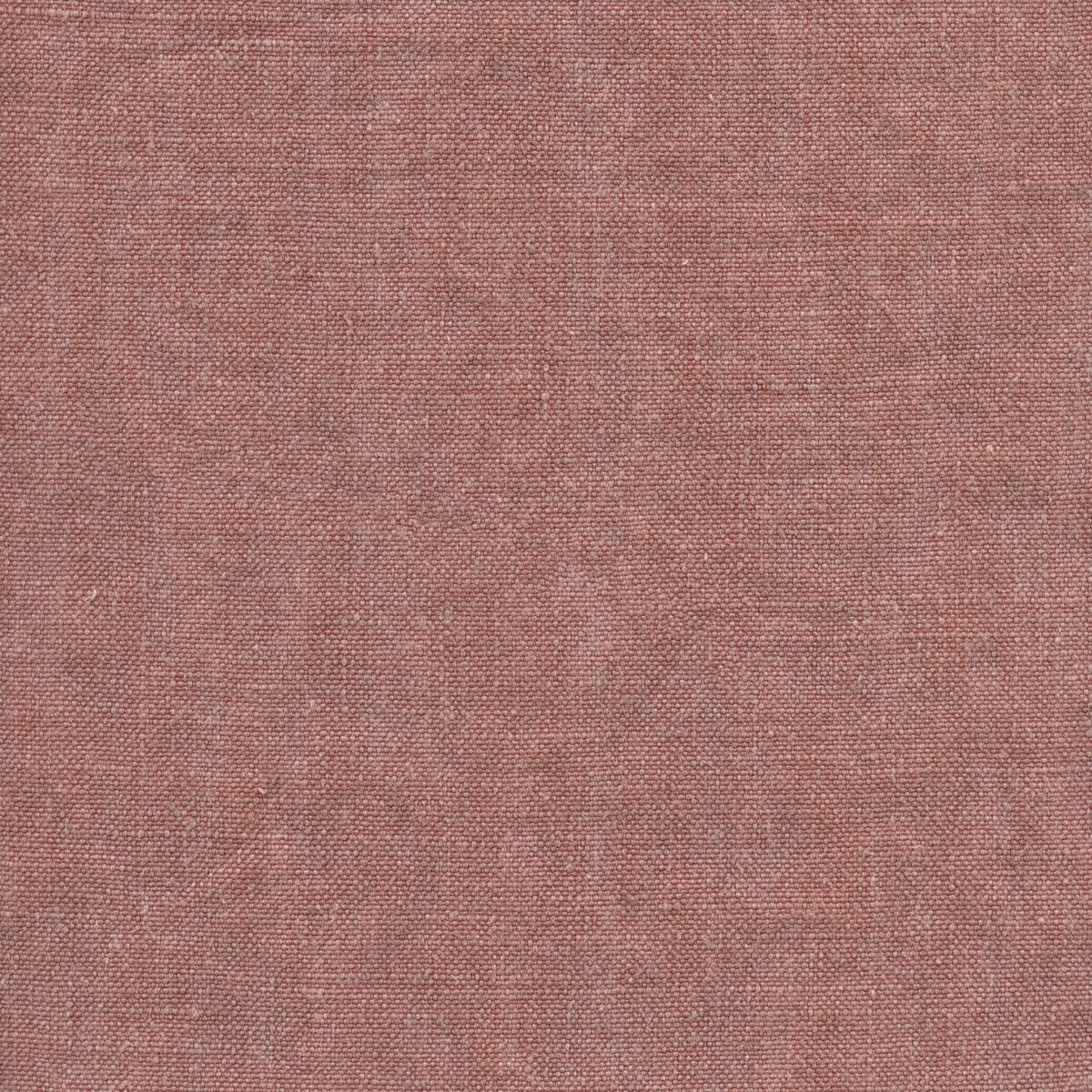 CLAIRE ALLSPICE