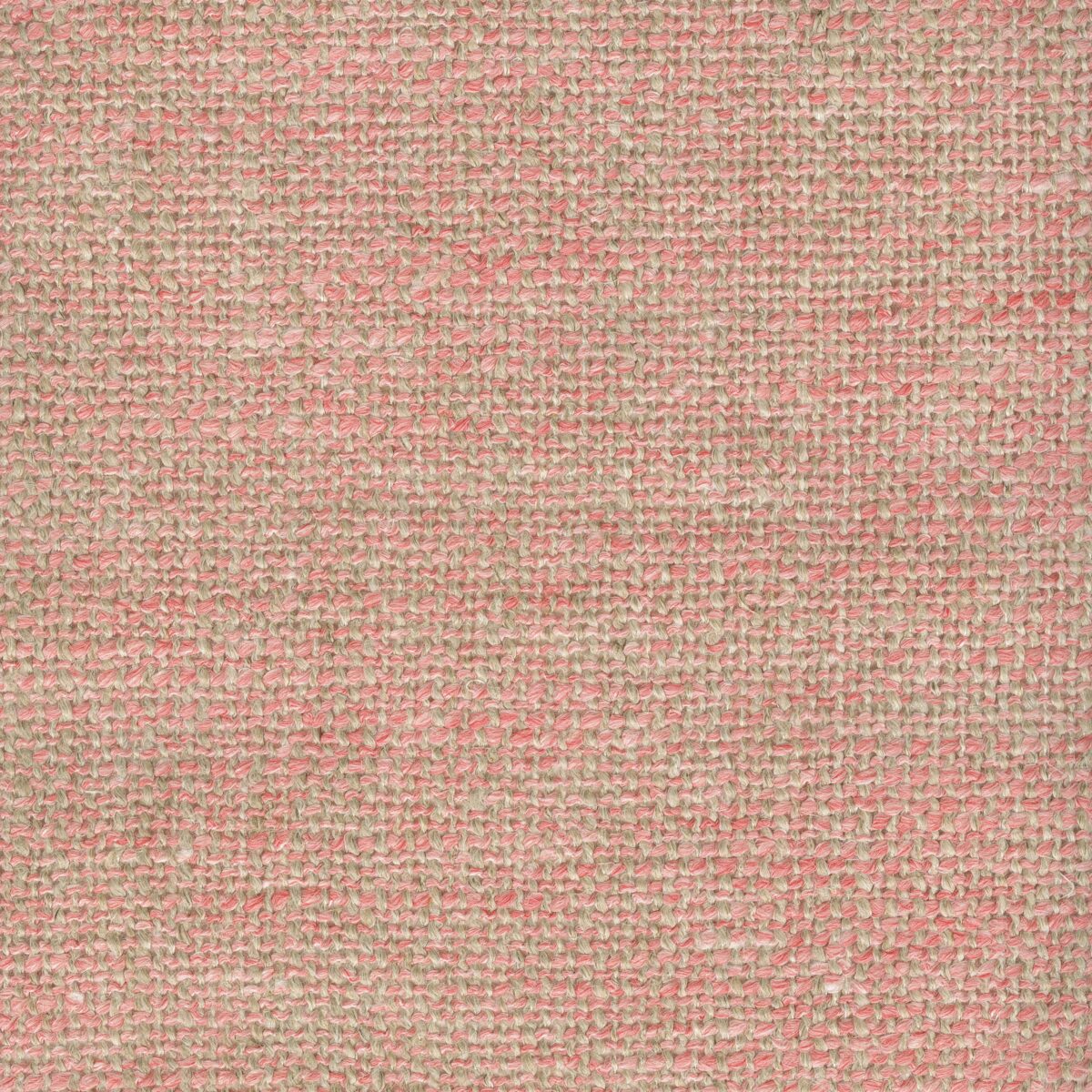 CLAUDETTE PINK PRELUDE