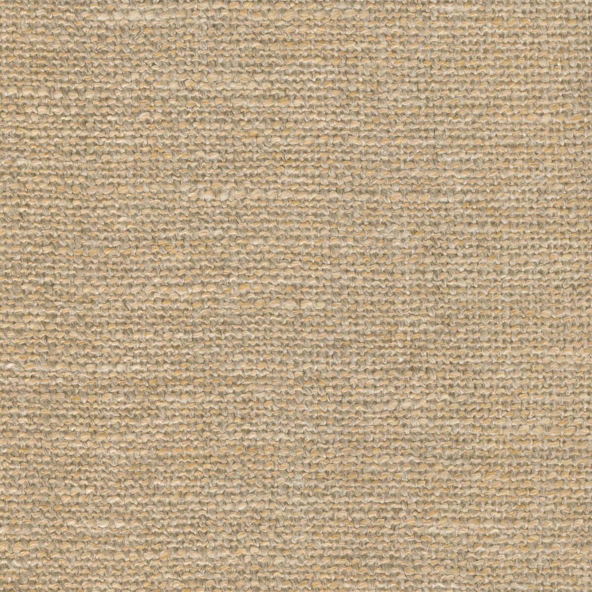 CLAUDETTE WHEAT