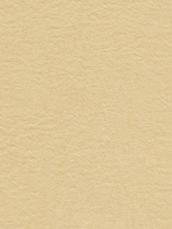 Cecile | 26 Colours - Coast Point