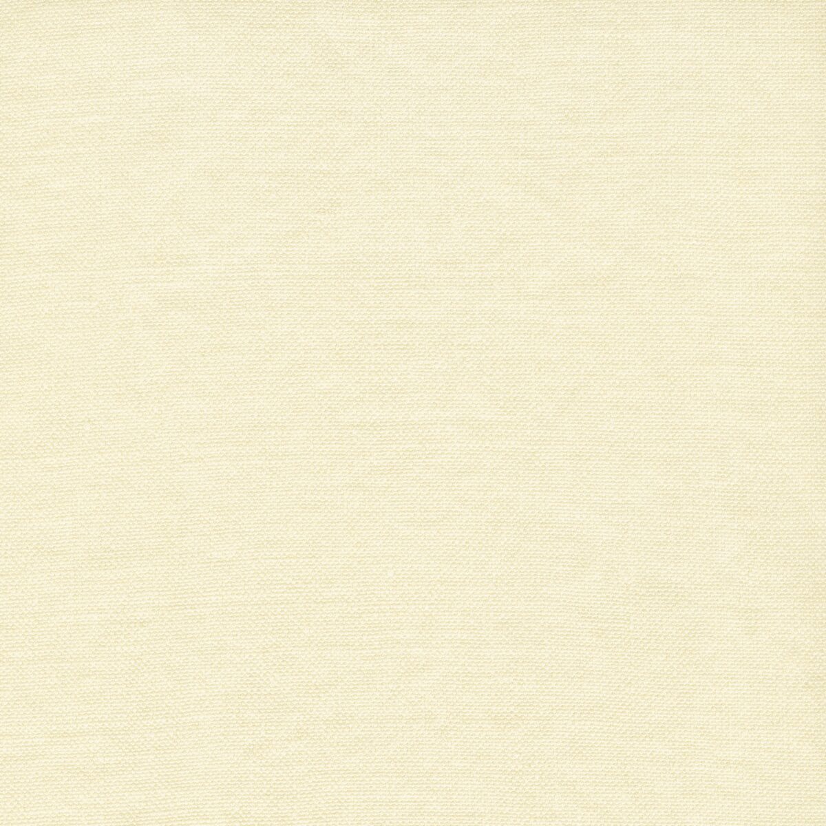 DOUCE GhostWHITE