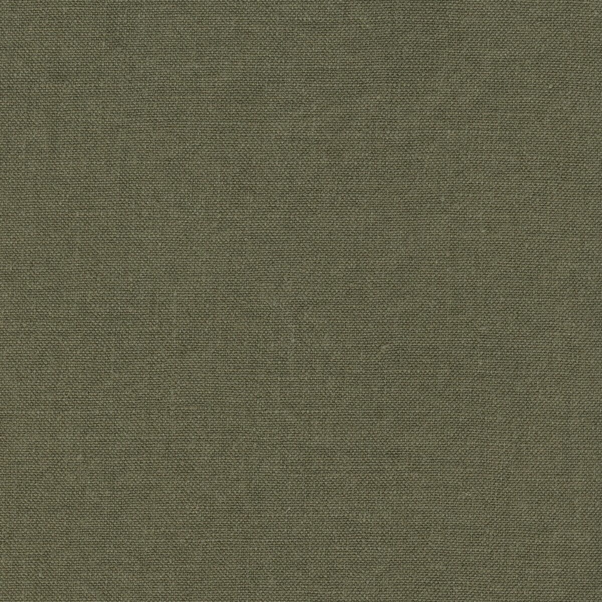 DOUCE Khaki