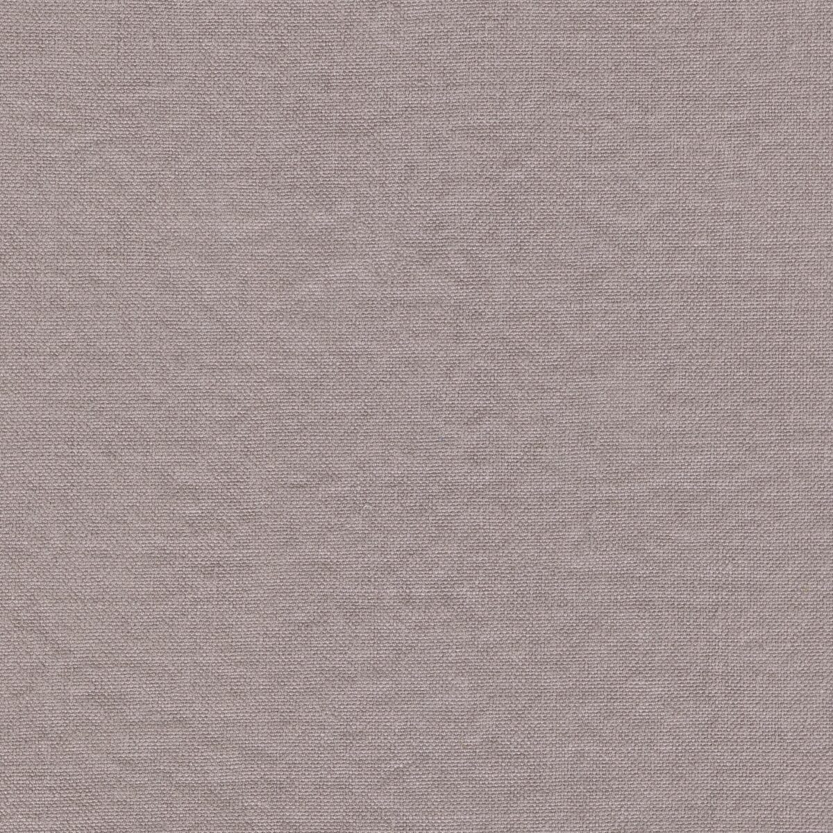 DOUCE LILAC