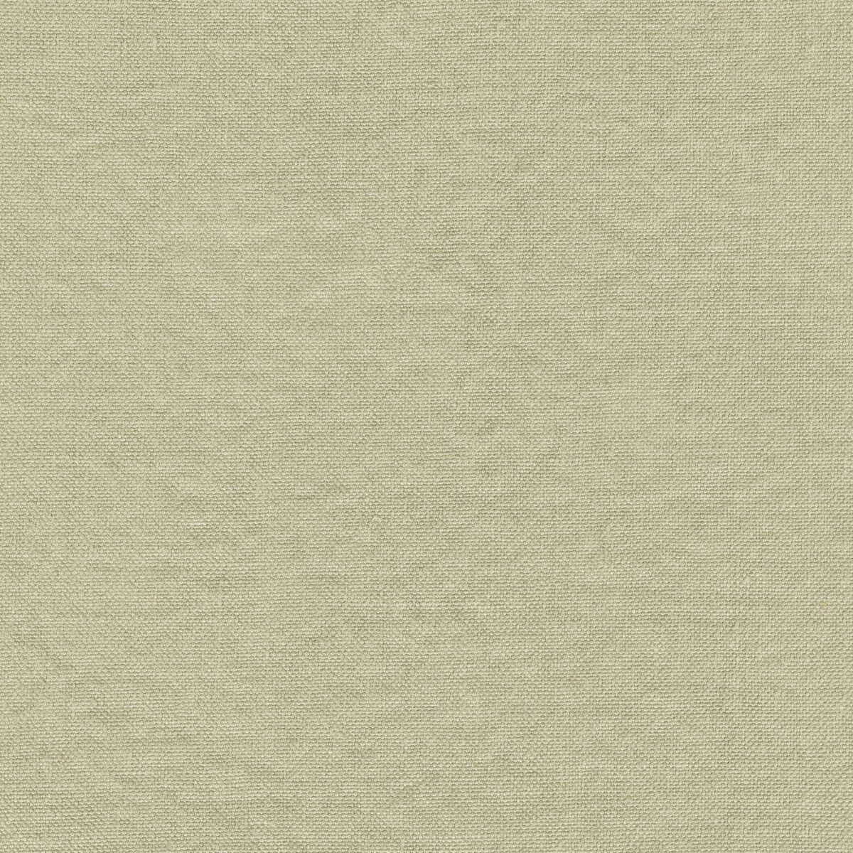 DOUCE MELLOW IVORY