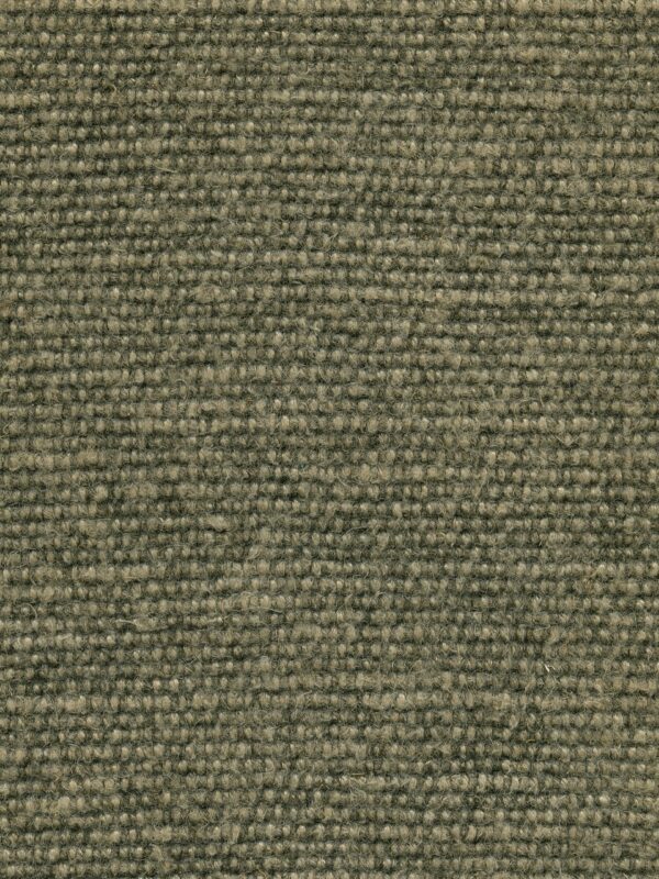 Hector | 7 Colours - Per Metre, Forest
