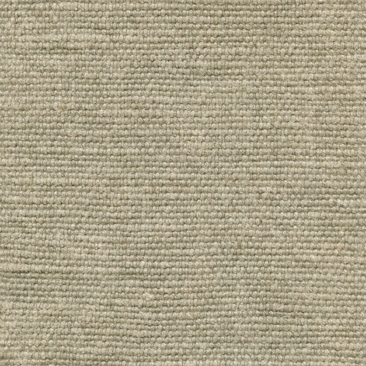 Hector | 7 Colours