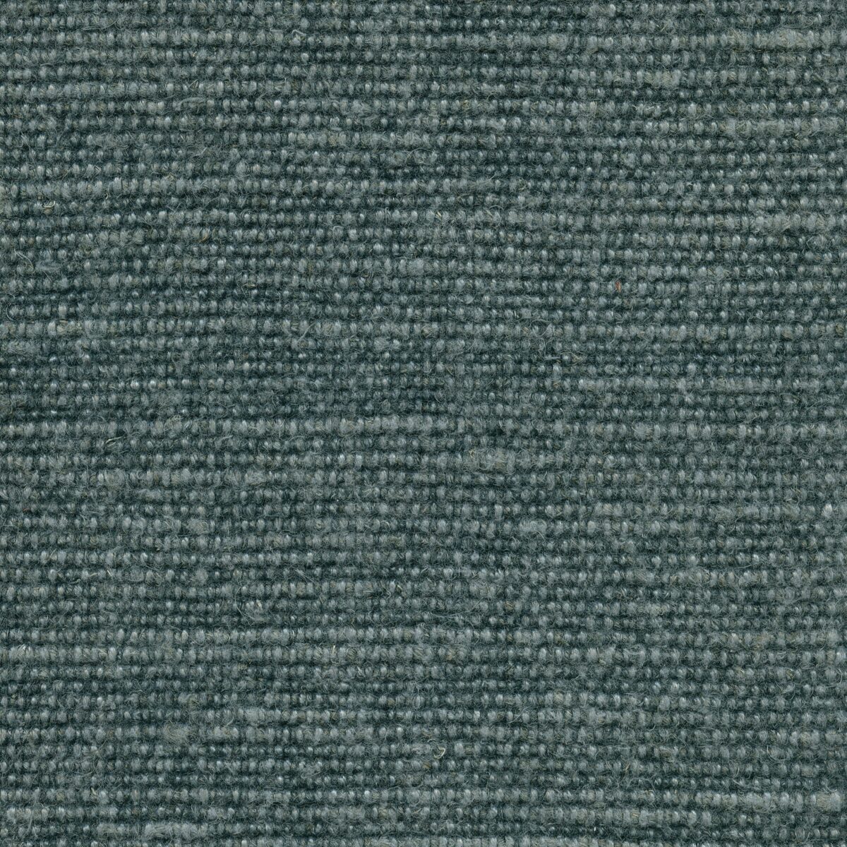 HECTOR ROYAL BLUE