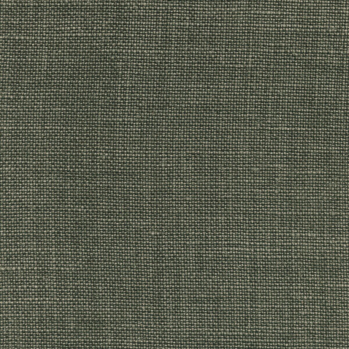 James | 8 Colours