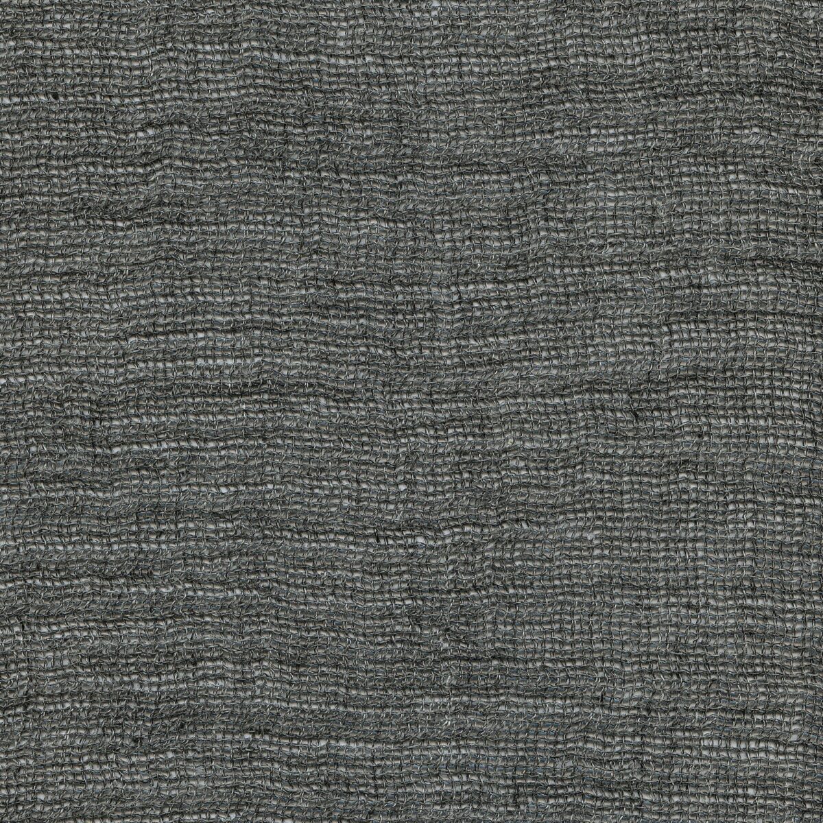 Louisa NAVY