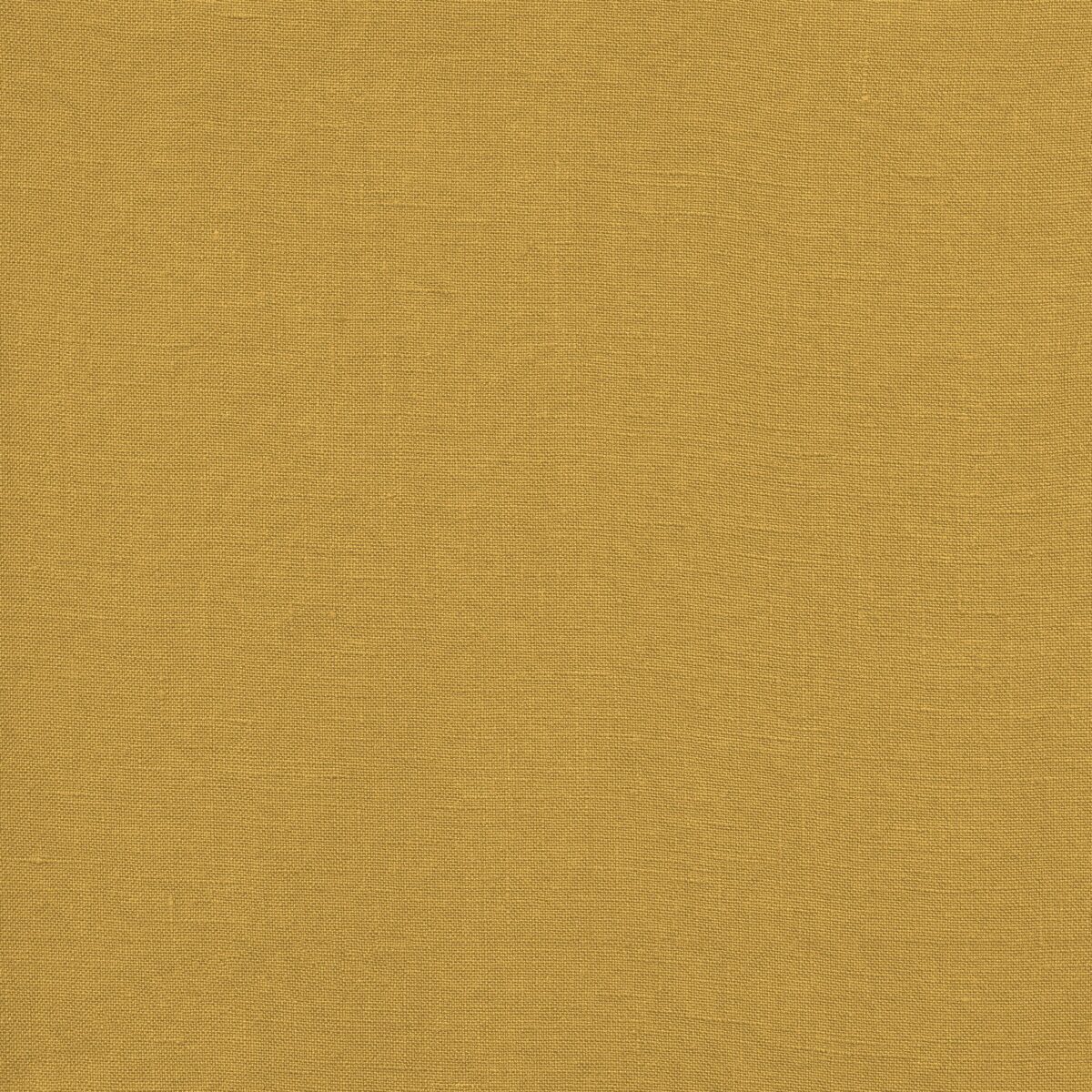 CECILE MUSTARD