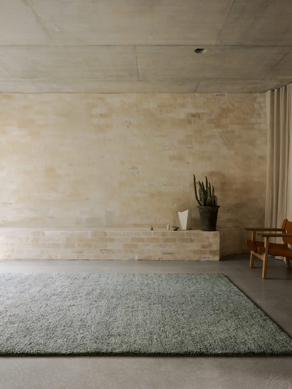 Meadow Seagrass | Sample