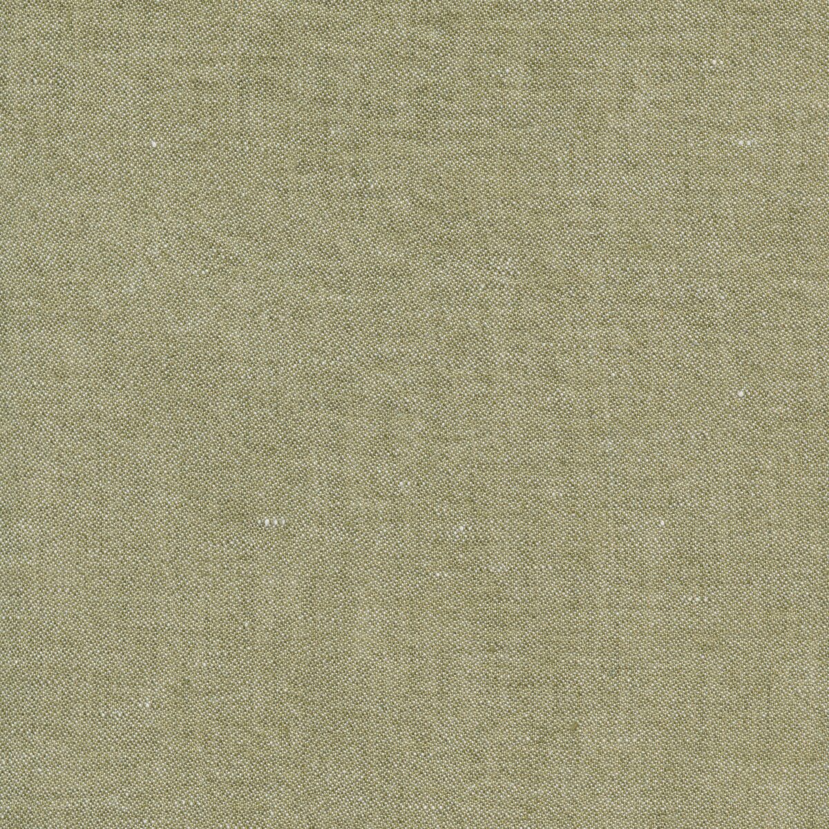 EMMA YOUNG OLIVE