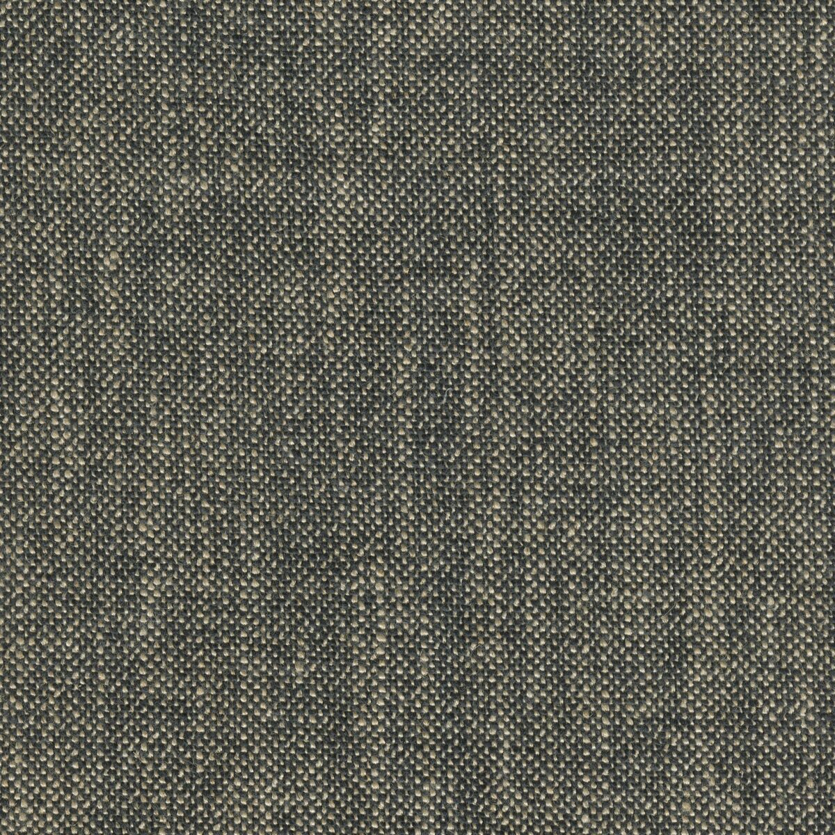 Beaufort 16