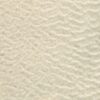 Angeline | 2 Colours
