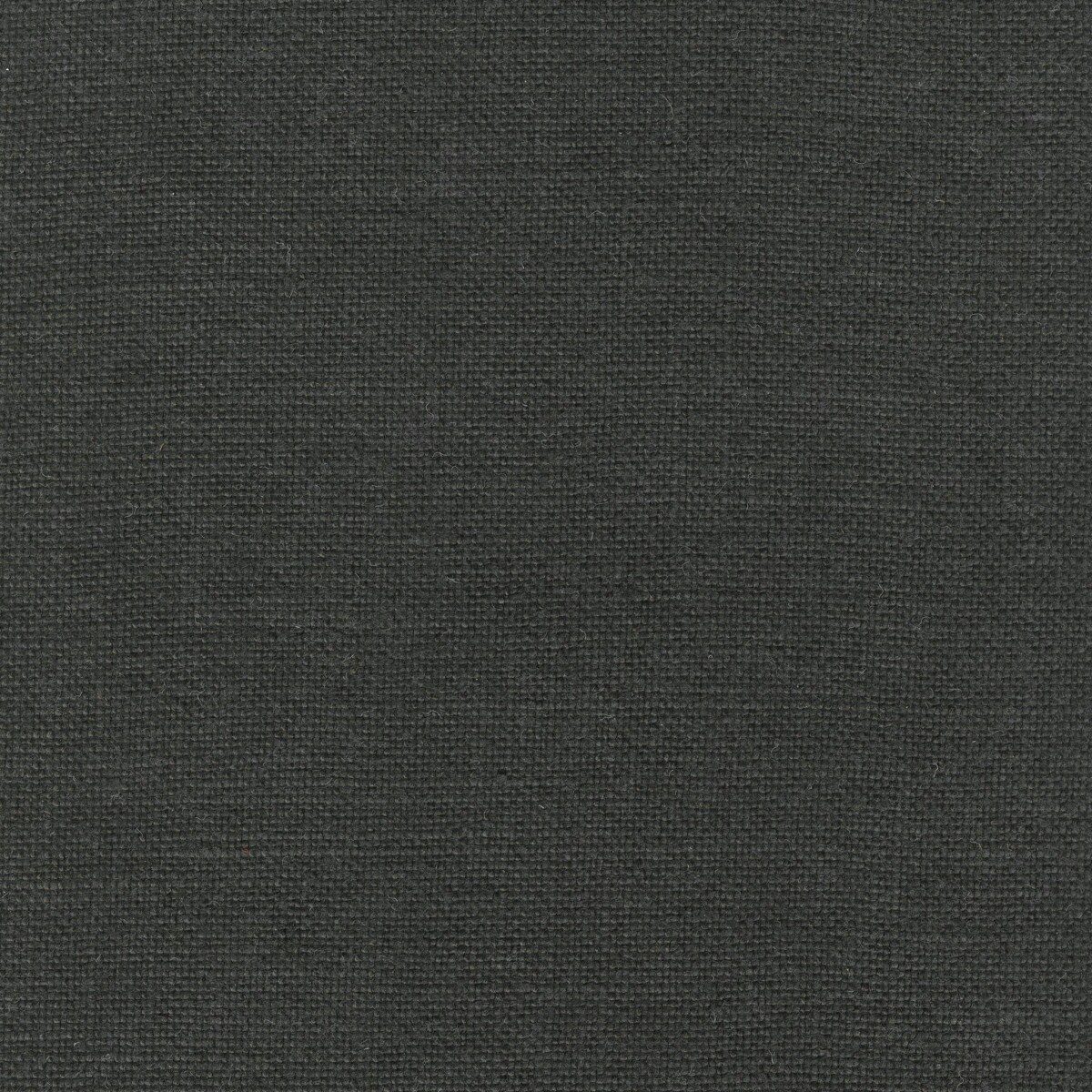 Modeste Black