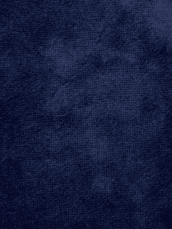 Clement Velvet | 14 Colours - Per Metre, Navy