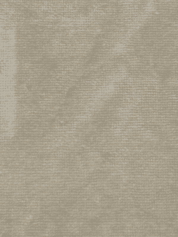 Clement Velvet | 14 Colours - Per Metre, Sable