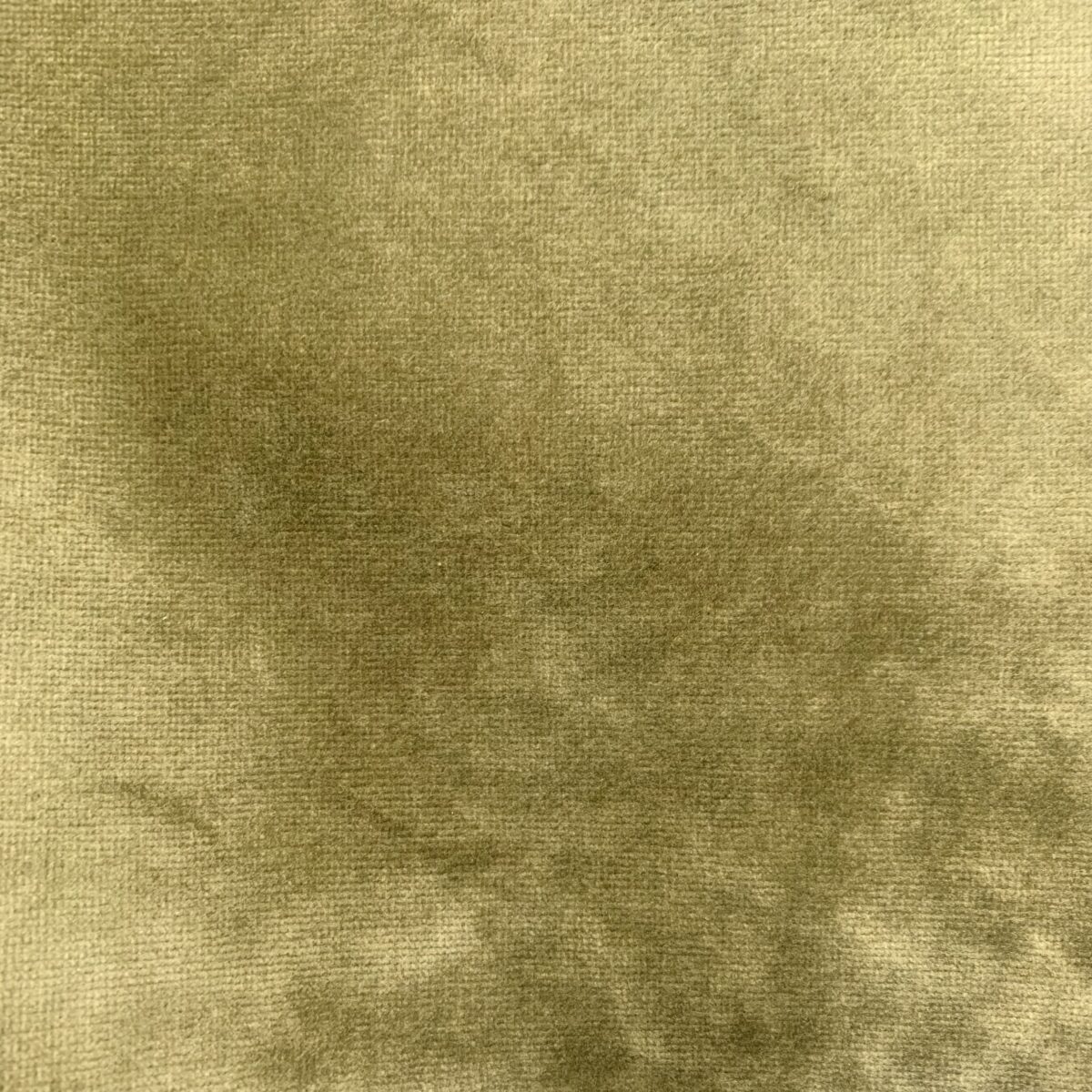 Clement Mustard