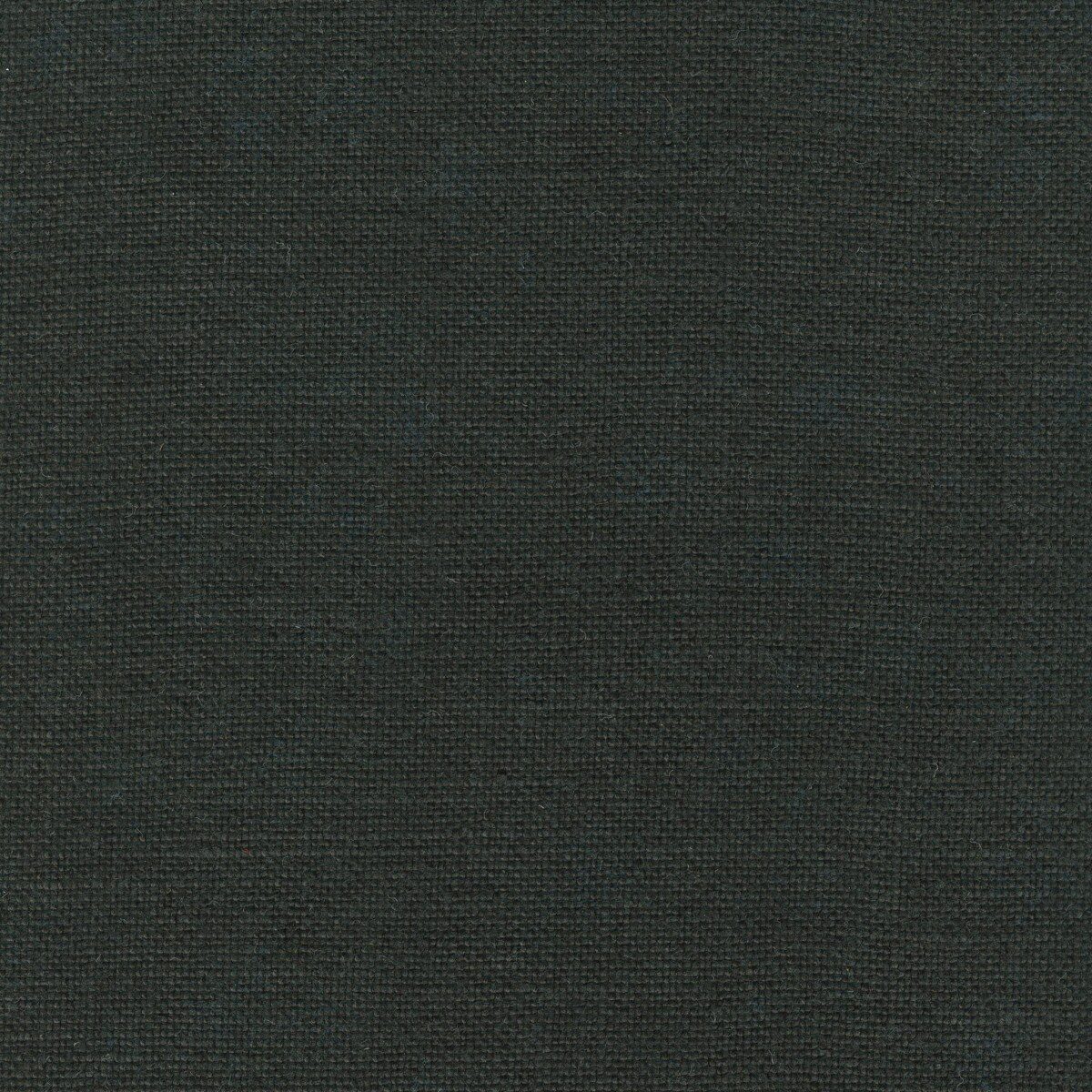Modeste Dark Grey
