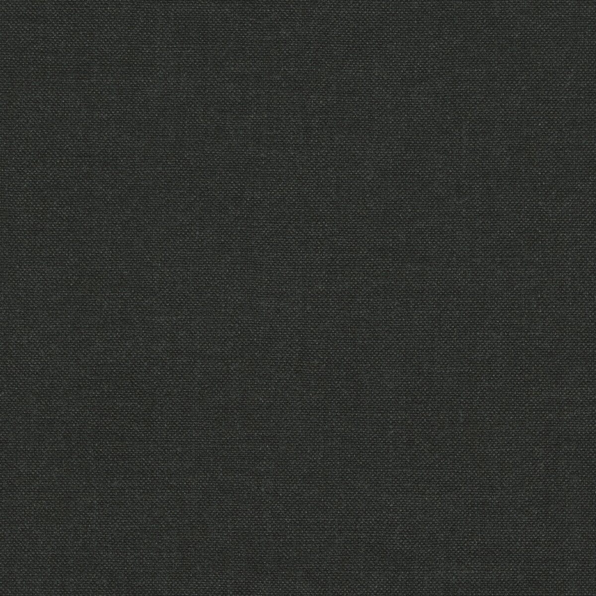 DOUCE Black
