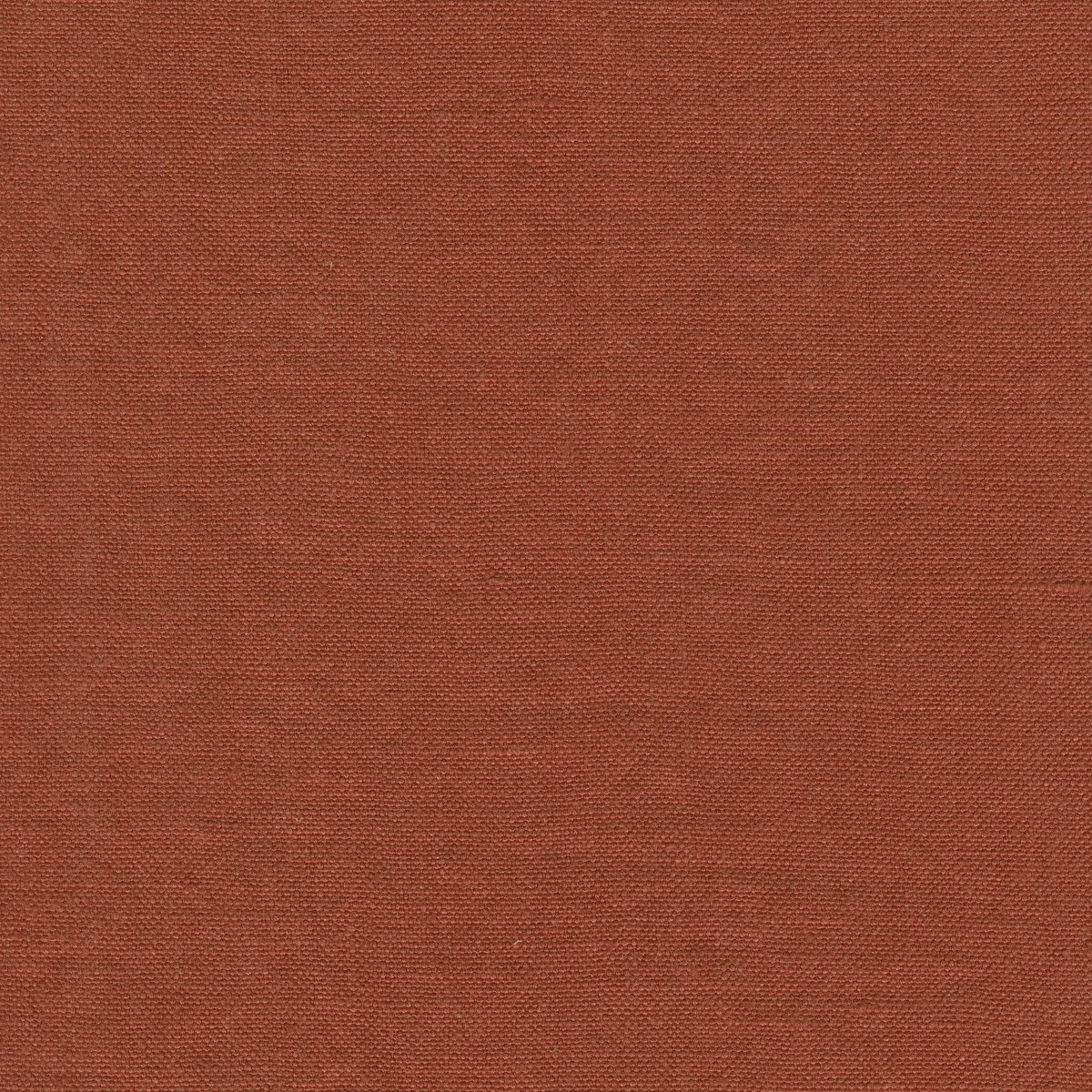 DOUCE Allspice