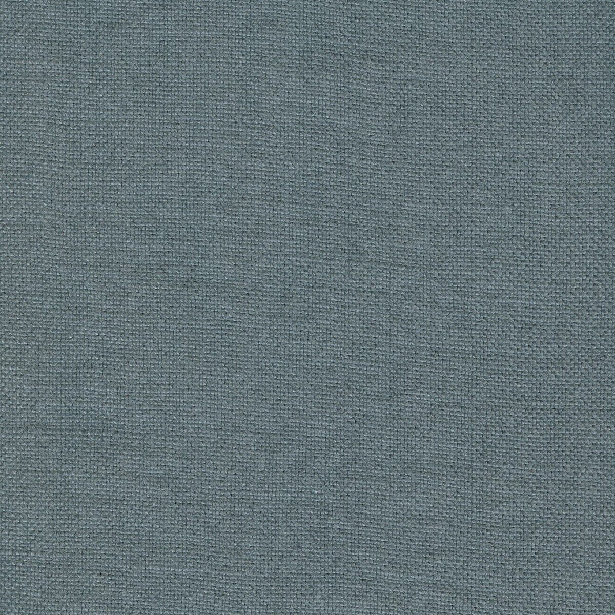 Modeste Elephant