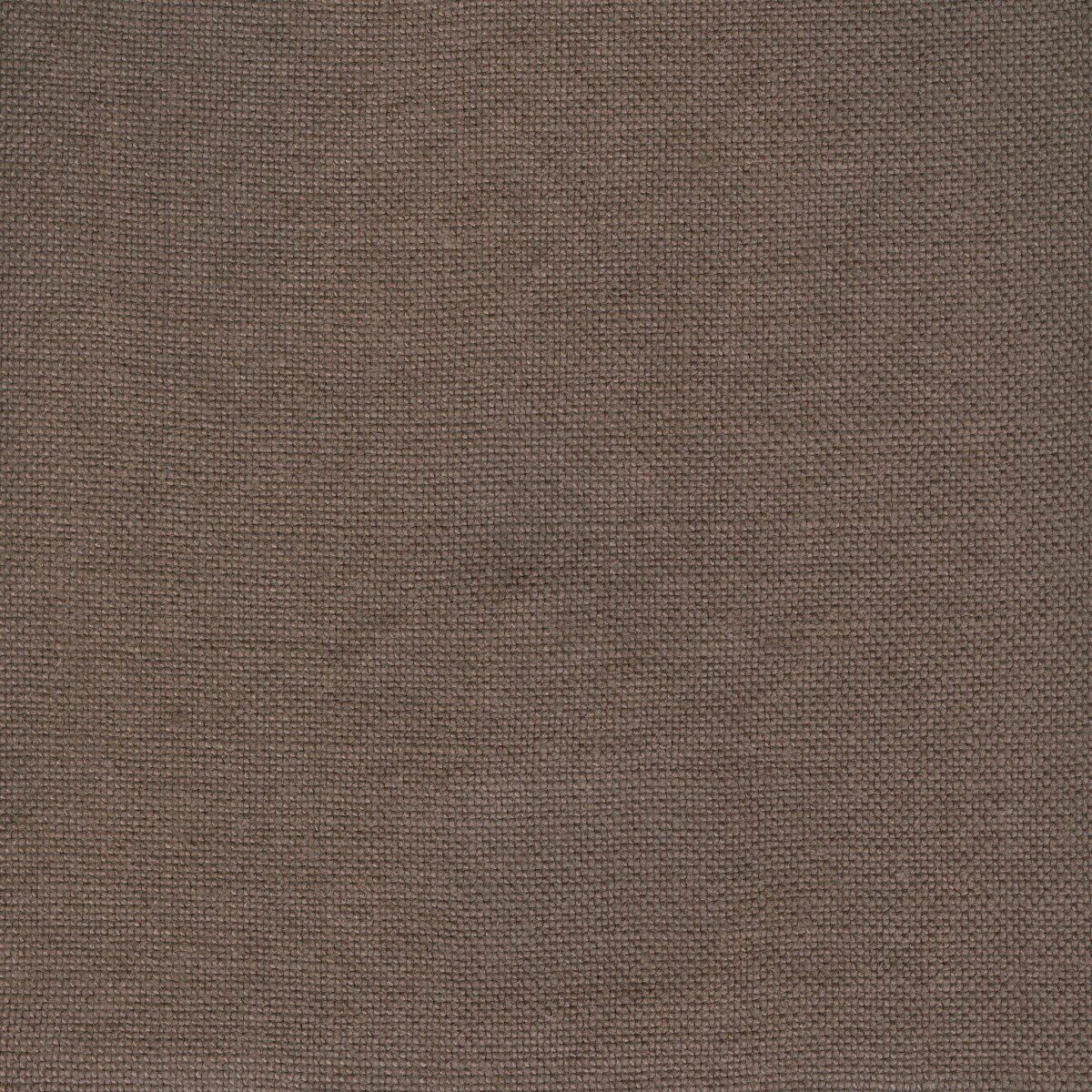 Modeste Espresso