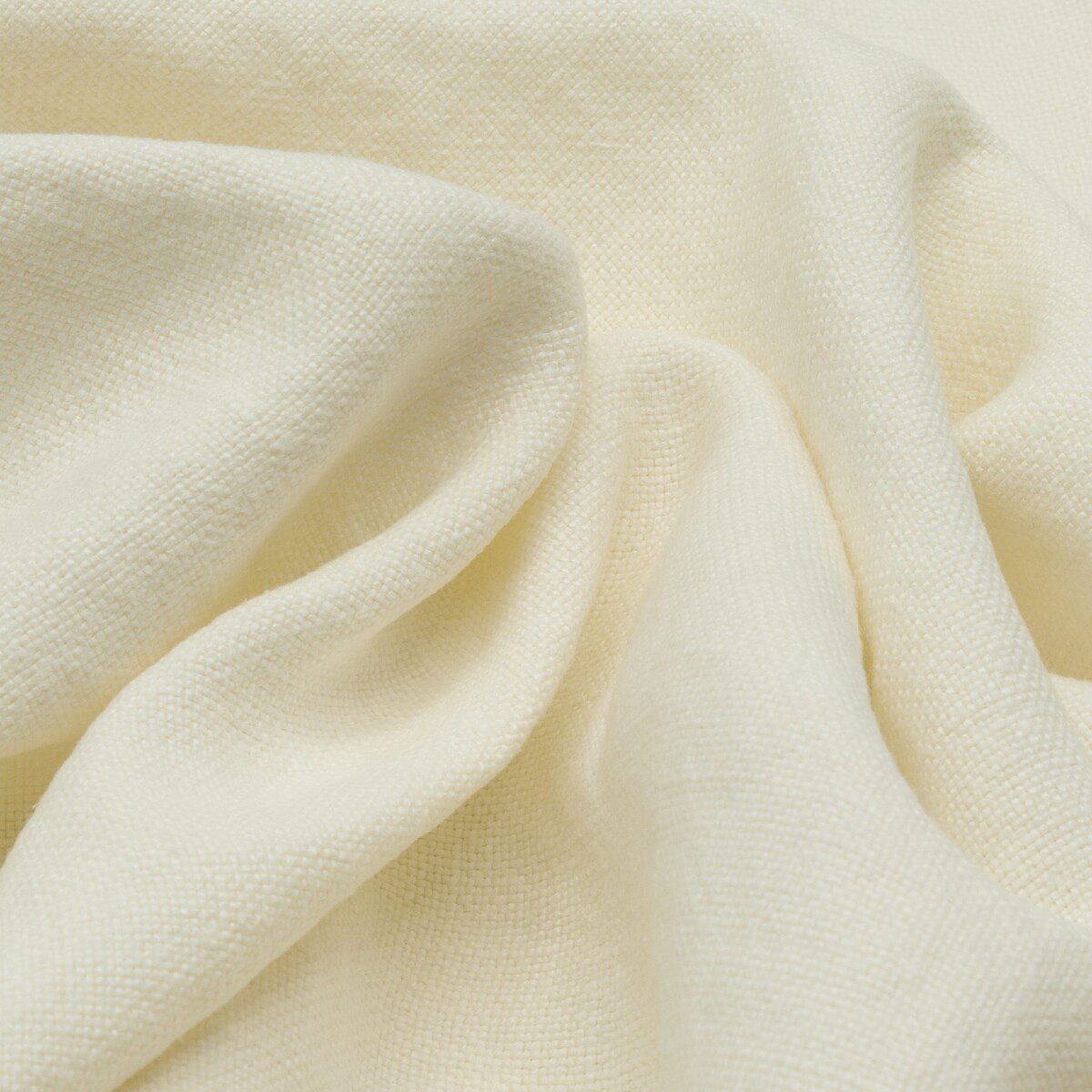 Modeste Ghostwhite
