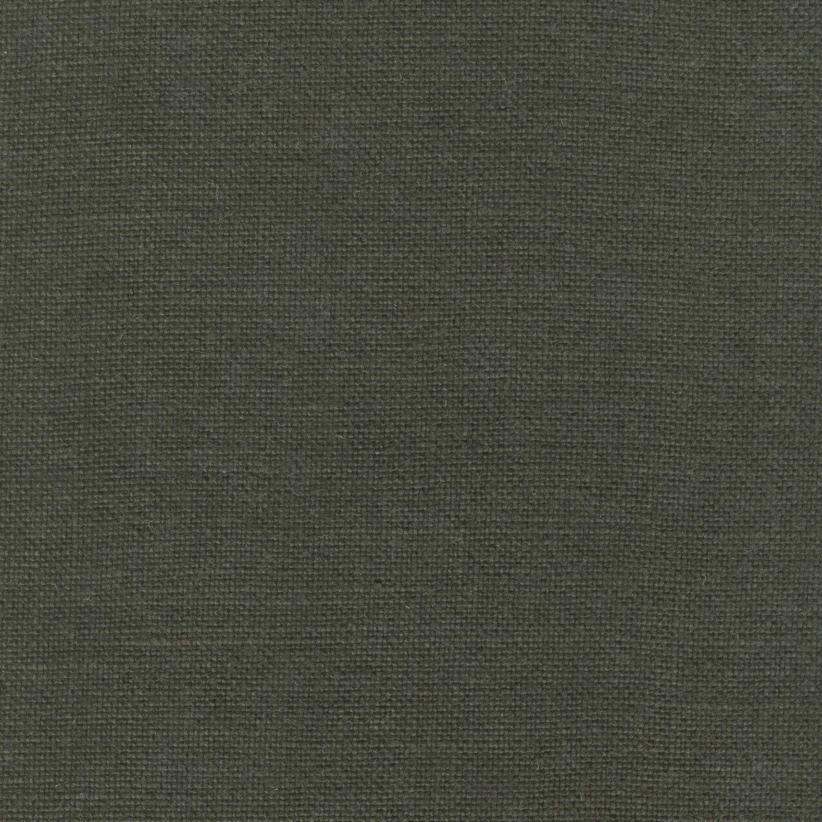 Modeste Gunmetal