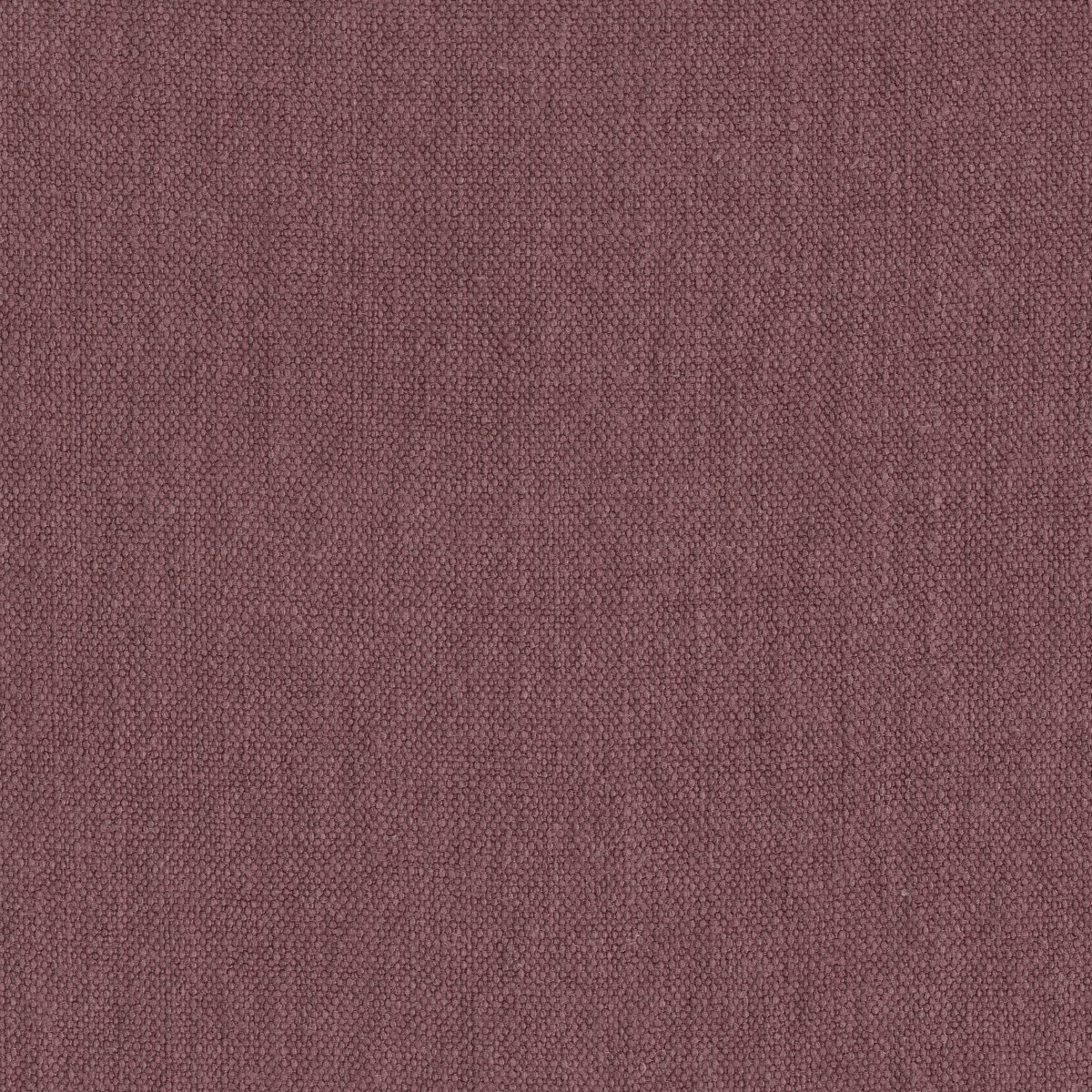 Hennep Mulberry