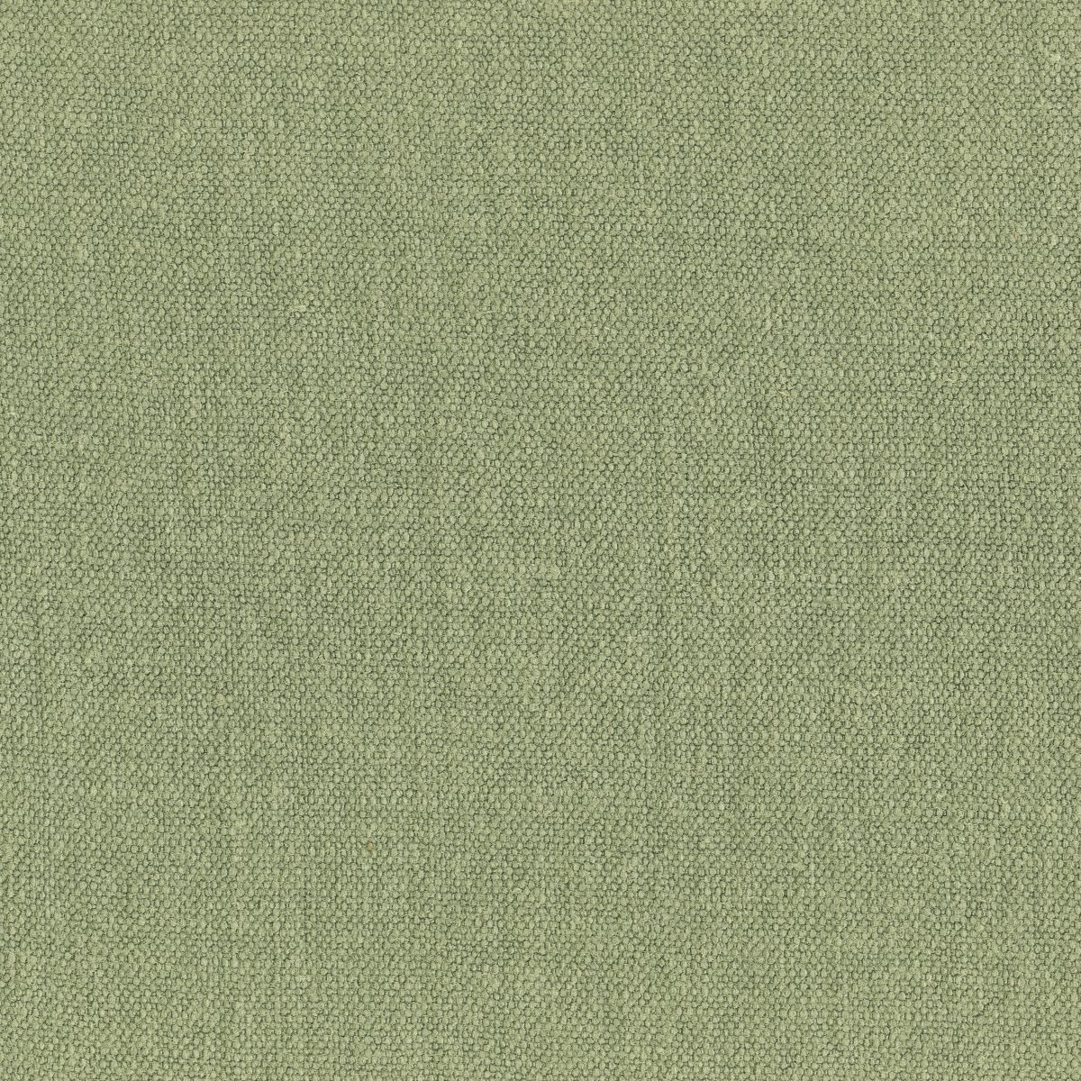 Hennep Sea Grass