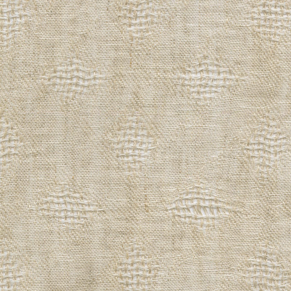 Ivy | 3 Colours