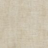 Ivy | 3 Colours