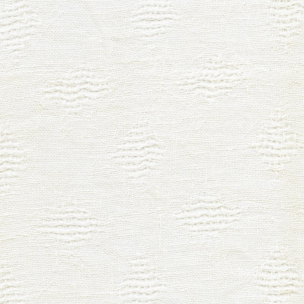 Ivy | 3 Colours