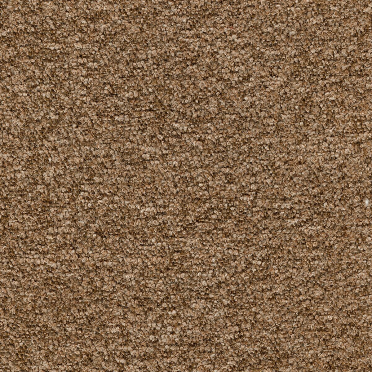 Jack Chocolate Brown