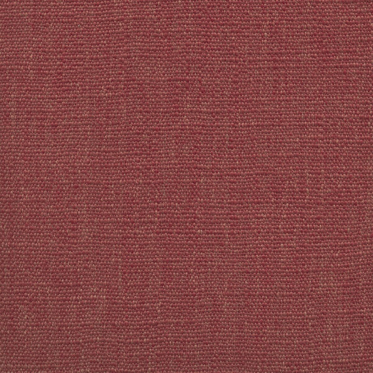 Jeremie | 15 Colours