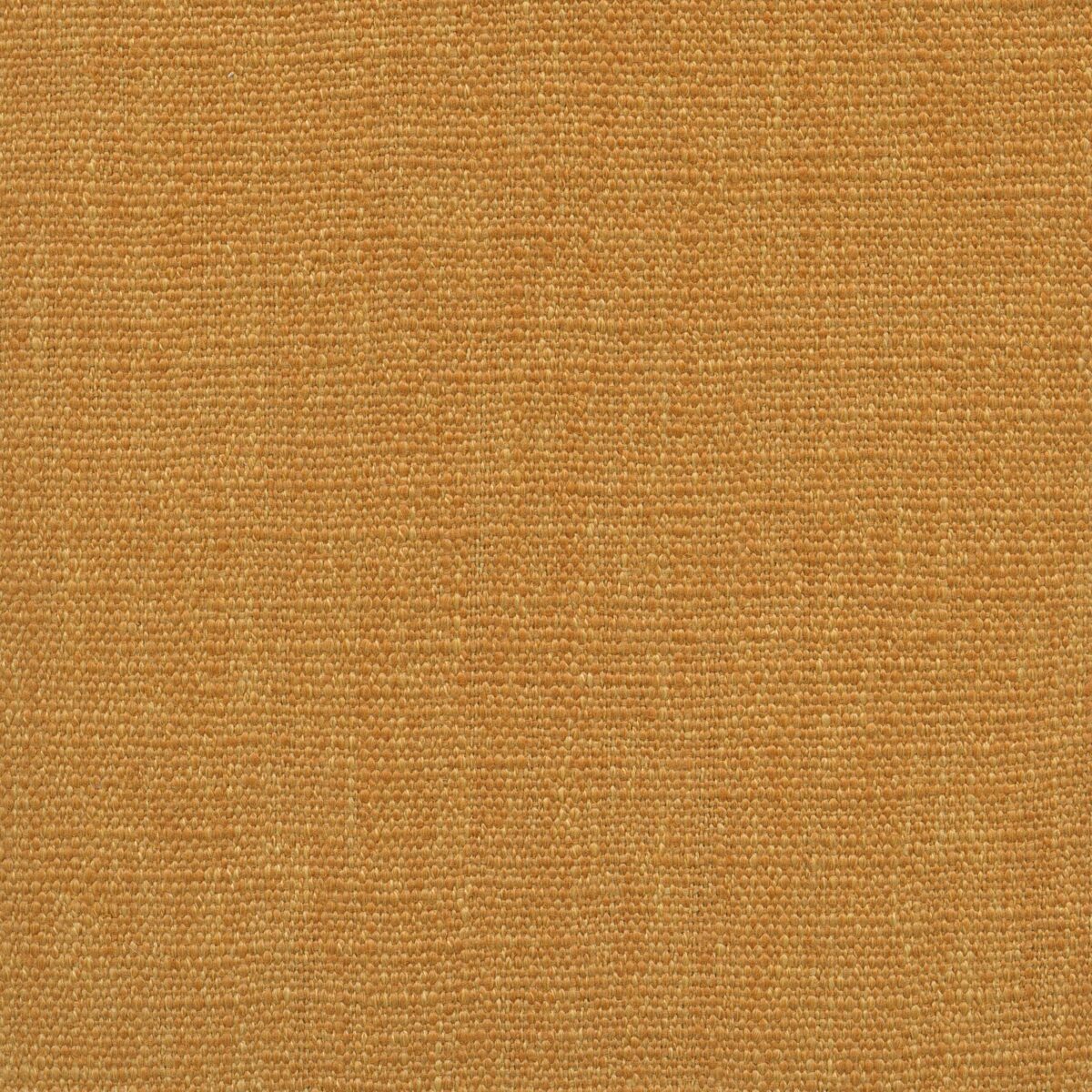 Jeremie | 15 Colours