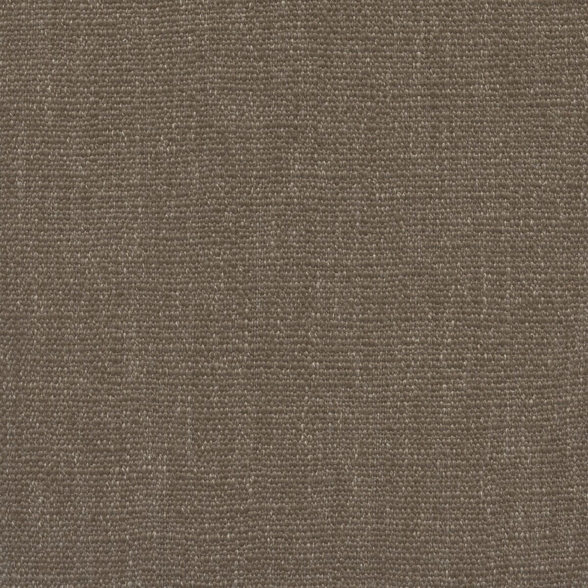 Jeremie | 15 Colours