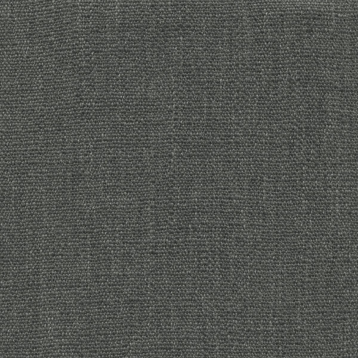 Jeremie | 15 Colours