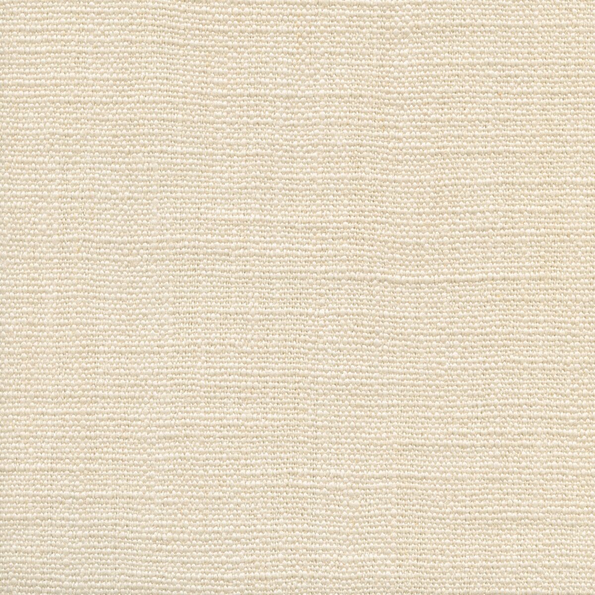 Jeremie | 15 Colours
