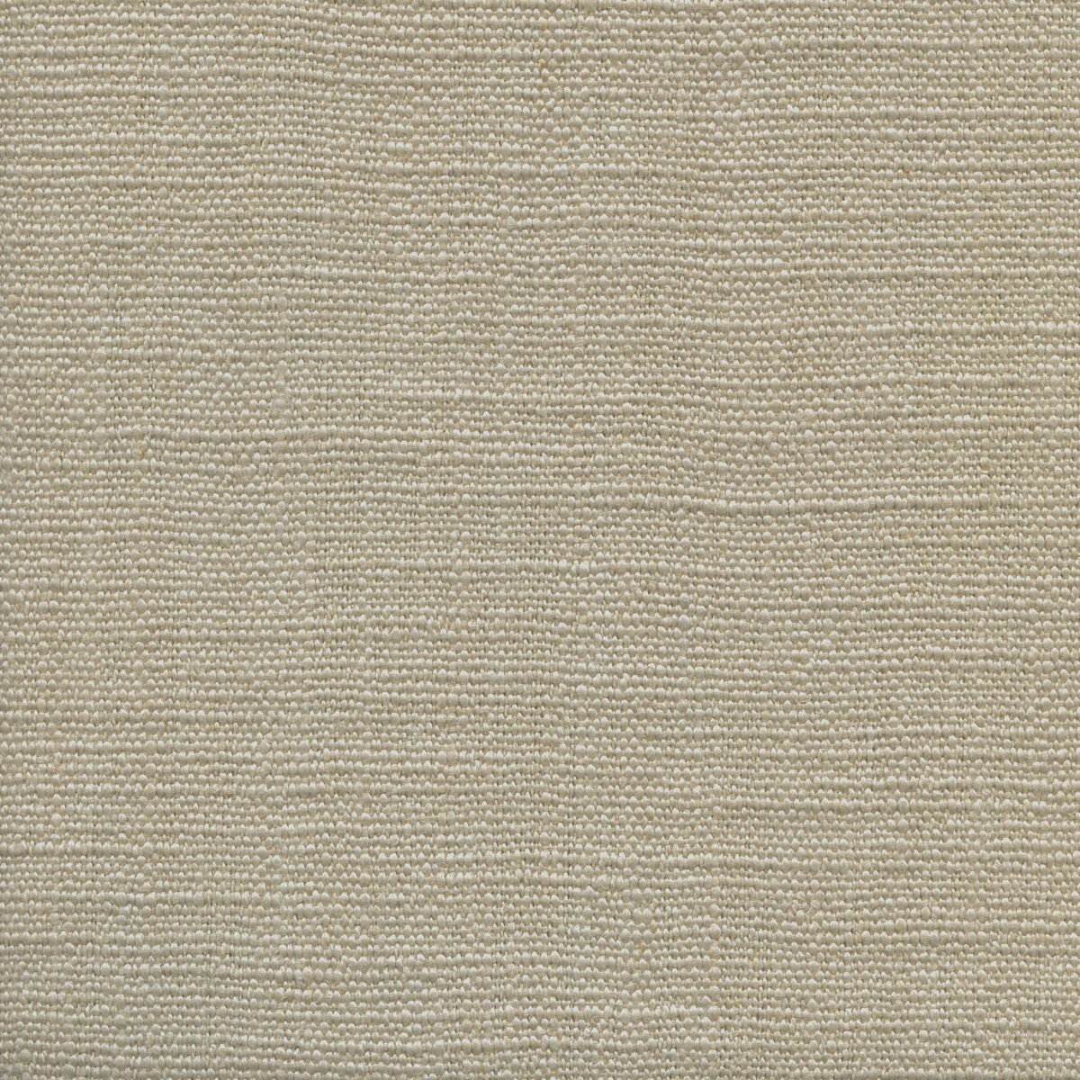 Jeremie | 15 Colours