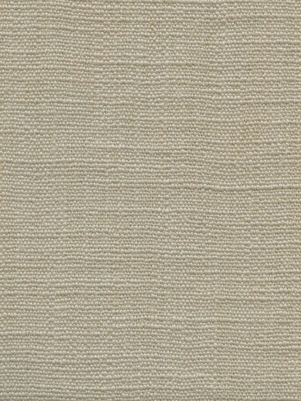 Jeremie | 15 Colours