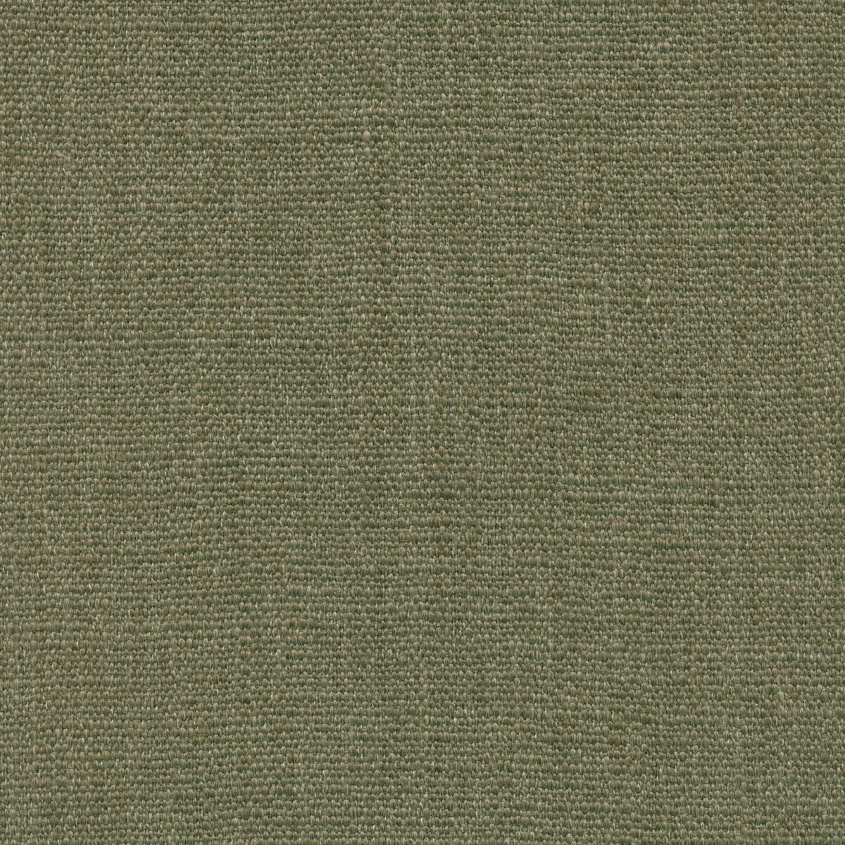 Jeremie | 15 Colours