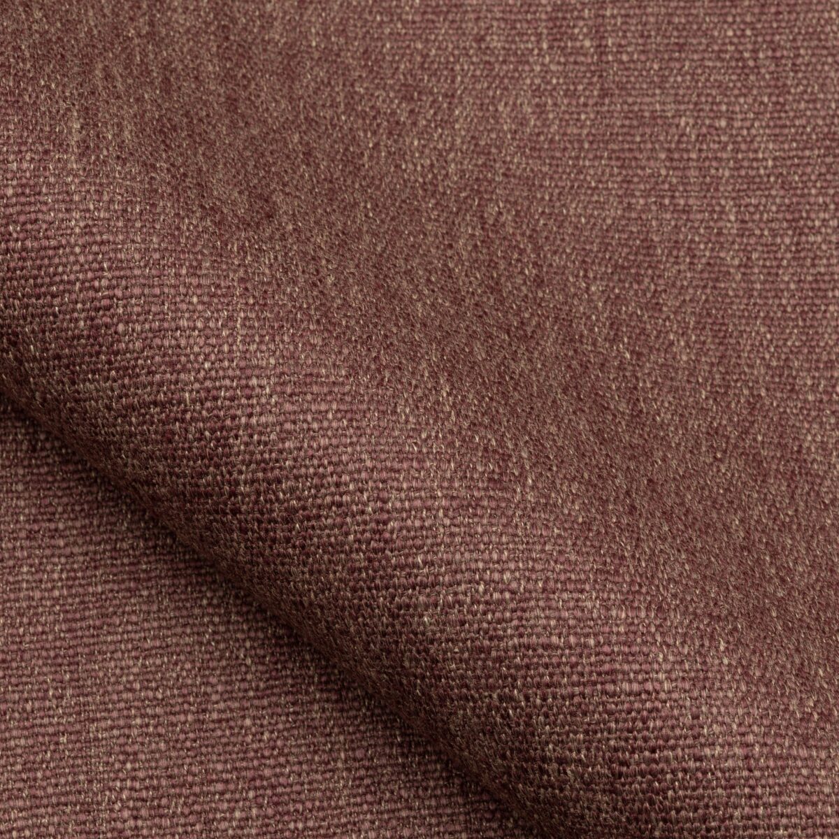 Jeremie | 15 Colours