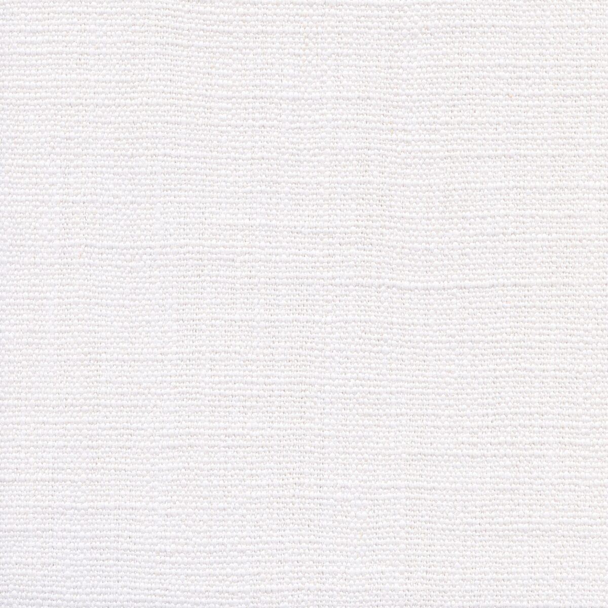 Jeremie | 15 Colours