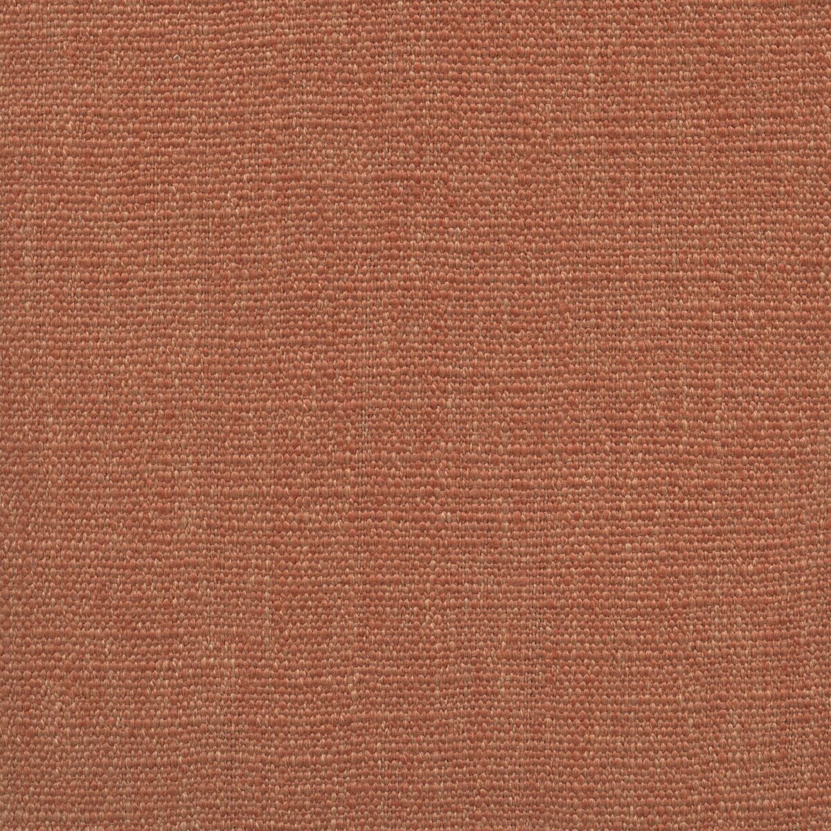 Jeremie | 15 Colours