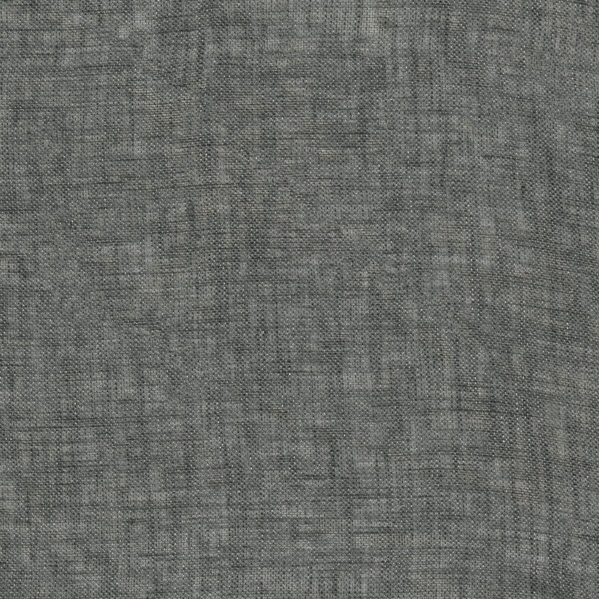 Joelle Navy