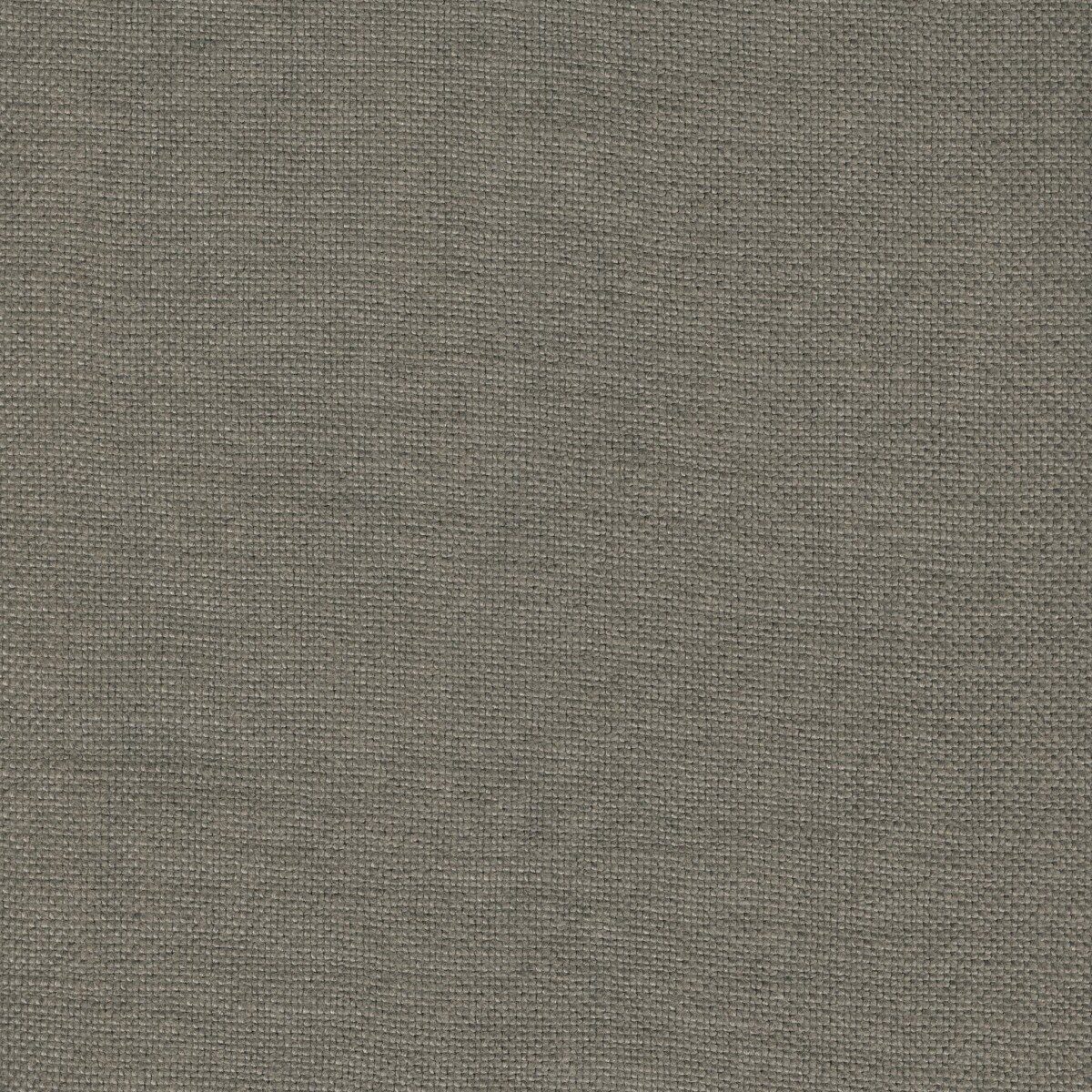 Modeste Keystone Grey